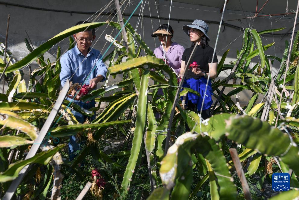永利mg十大游戏网站